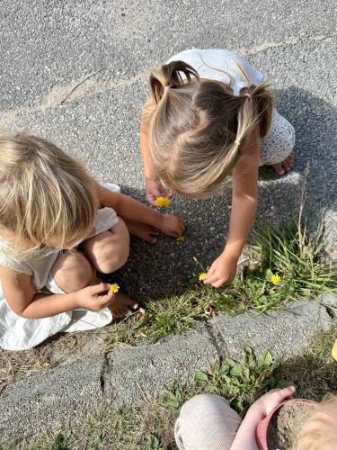 Fint å plukke blomster i barnehagen